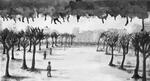 2012 :: Ghost City :: Black ink wash, 41.5x23cm {JPEG}