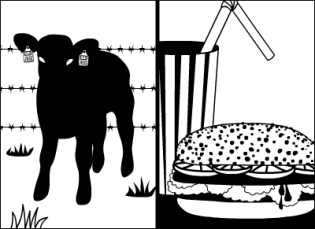 L'origine de la viande