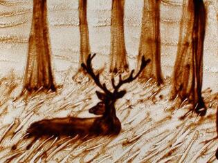 2009 - Dessin sur sable